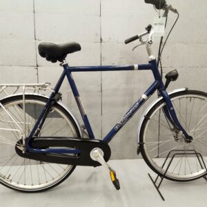 batavus Entrada spirit