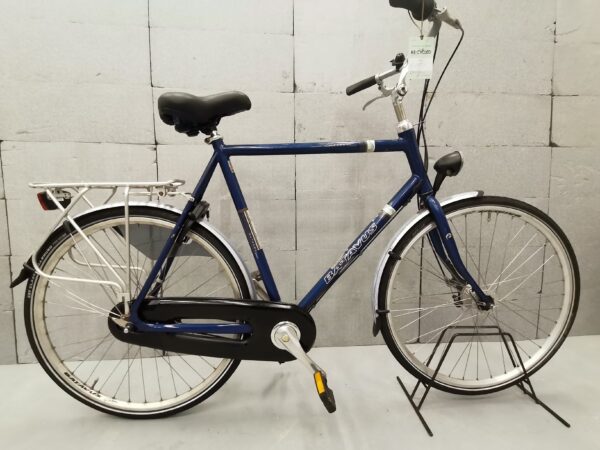 batavus Entrada spirit