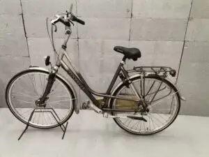 Gazelle Touche