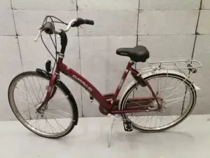 Batavus future