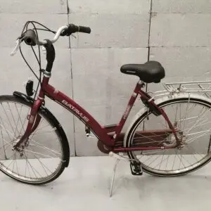 Batavus future