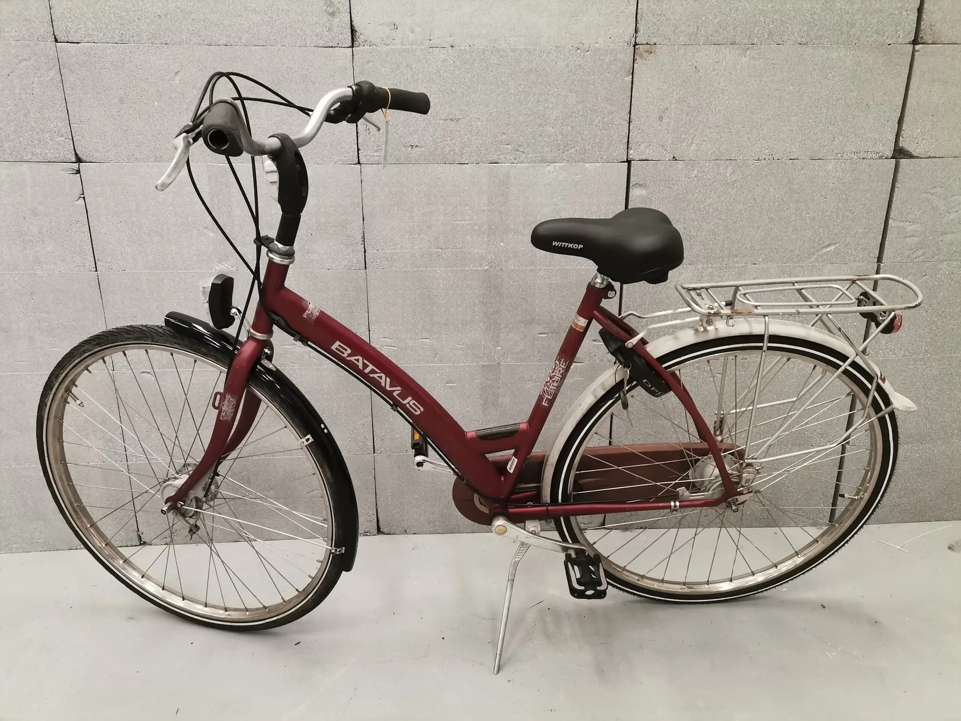 Batavus future
