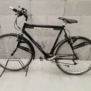 Koga Miyata