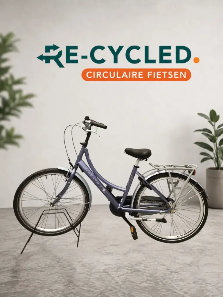 Batavus runner